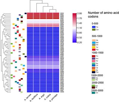 Comparative and phylogenetic analysis of complete chloroplast genomes from five Artemisia species